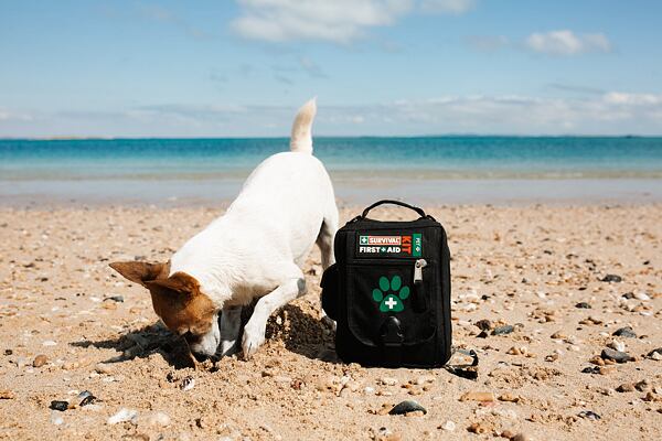 Lékárnička pro pejsky SURVIVAL First Aid Kit - Pet 2