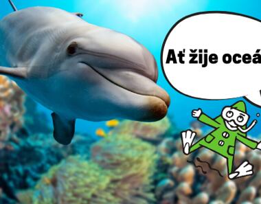 Všechno nejlepší našim oceánům