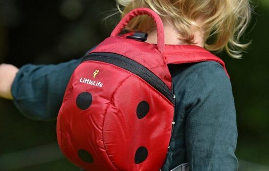 LittleLife