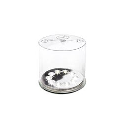 Svítilna BioLite Luci Clear