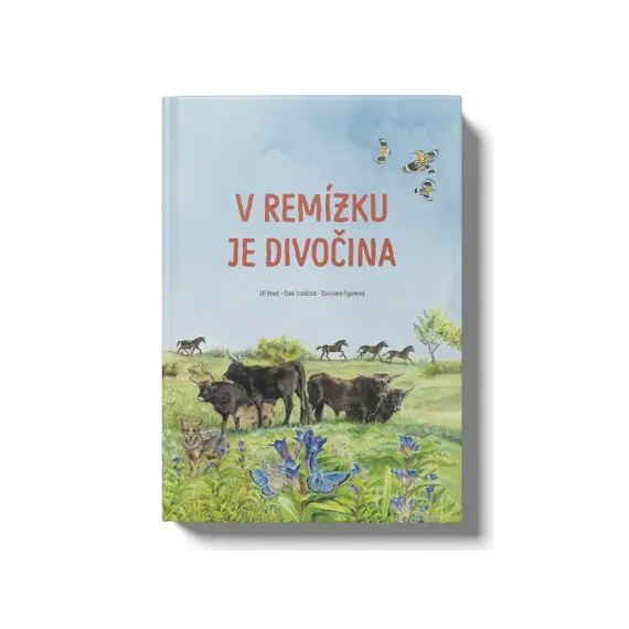 Kniha V remízku je divočina