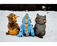 Dětská zimní rostoucí kombinéza WeeDo Wild Thing