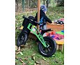 Dětské odrážedlo FirstBIKE FAT edition green 10