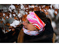 Sportovní čelenka Bosa Chilly Colorful pink 2