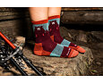 Funkční ponožky s merinem Darn Tough Bear Town Micro Crew Lightweight with Cushion - burgundy 4