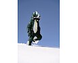 Dětská zimní rostoucí kombinéza WeeDo Bomondo Silver Monster 2