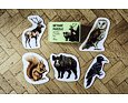 Dětské puzzle Chytrá Opička - Zvířátka z českého lesa 2