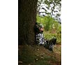 Dětská softshellová bunda Wamu Maskáč - khaki 15