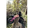 Dětské odrážedlo FirstBIKE FAT edition pink 6