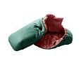 Dětský rostoucí spací pytel Deuter Starlight Pro seagreen-redwood levý 3