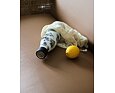 Termoska Les Artistes Bottle Up 750ml Seychelles