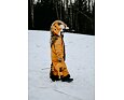 Dětská zimní rostoucí kombinéza WeeDo Wild Thing