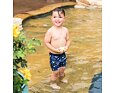 Dětské inkontinenční plavky Splash About Jammers Shark Reef 5