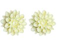 Náušnice FLOWERSKI