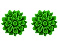 Náušnice FLOWERSKI