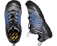 Dětské boty KEEN Chandler CNX black/bright cobalt 5