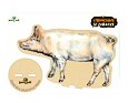Vylomeniny se zvířátky Lesní svět M