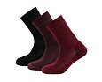 Funkční ponožky s merinem Devold daily medium středně silné beetroot 3 páry
