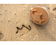 Razítka na písek - 3 ks BS Toys Sand Stamps 10